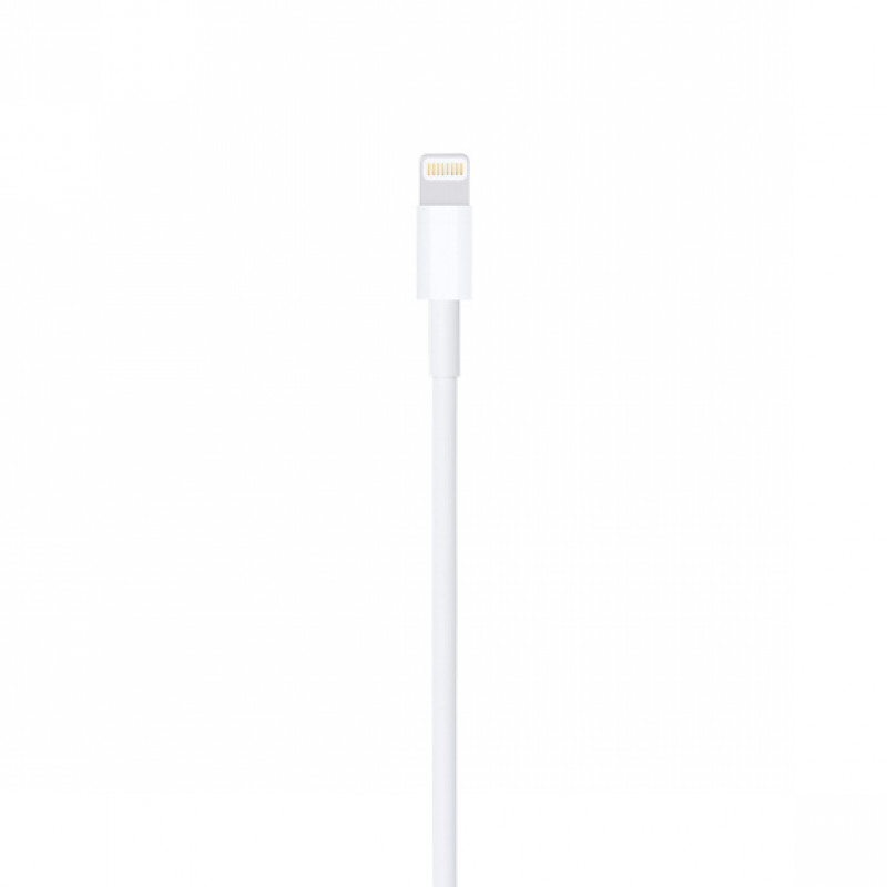 Lightning to USB Cable (1 m)