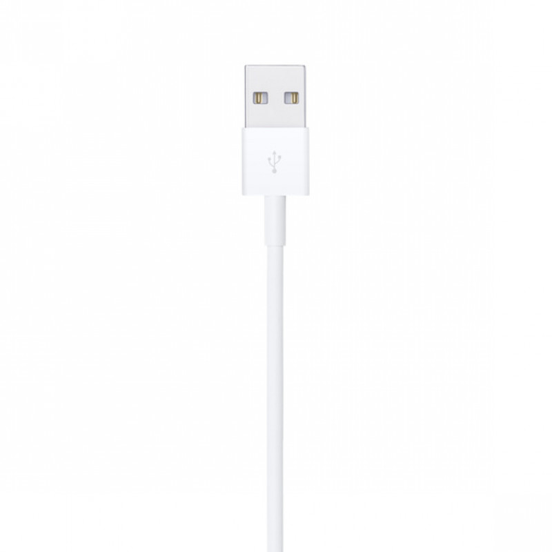 Lightning to USB Cable (1 m)